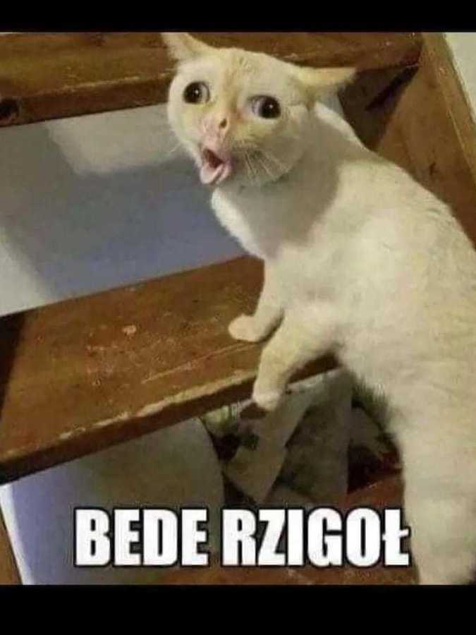 Bede Rzigoł 🤢🤮